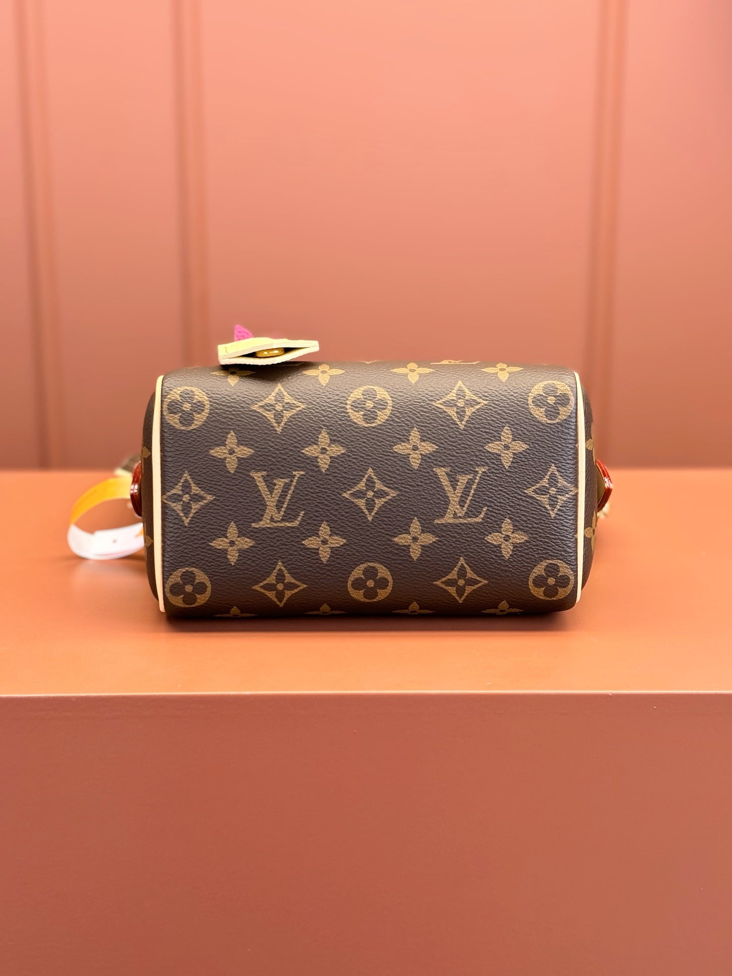 حقيبة يد فاخرة من تصميم لوي فيتون speedy Bandoulière